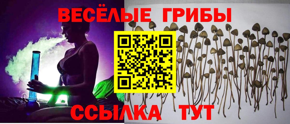Псилоцибиновые грибы Psilocybine cubensis  Псилоцибиновые грибы MAGIC MUSHROOMS  Снежинск  Вход с VPN 