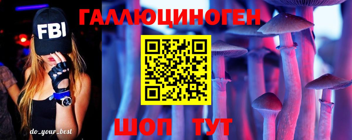 Псилоцибиновые грибы Psilocybine cubensis Снежинск